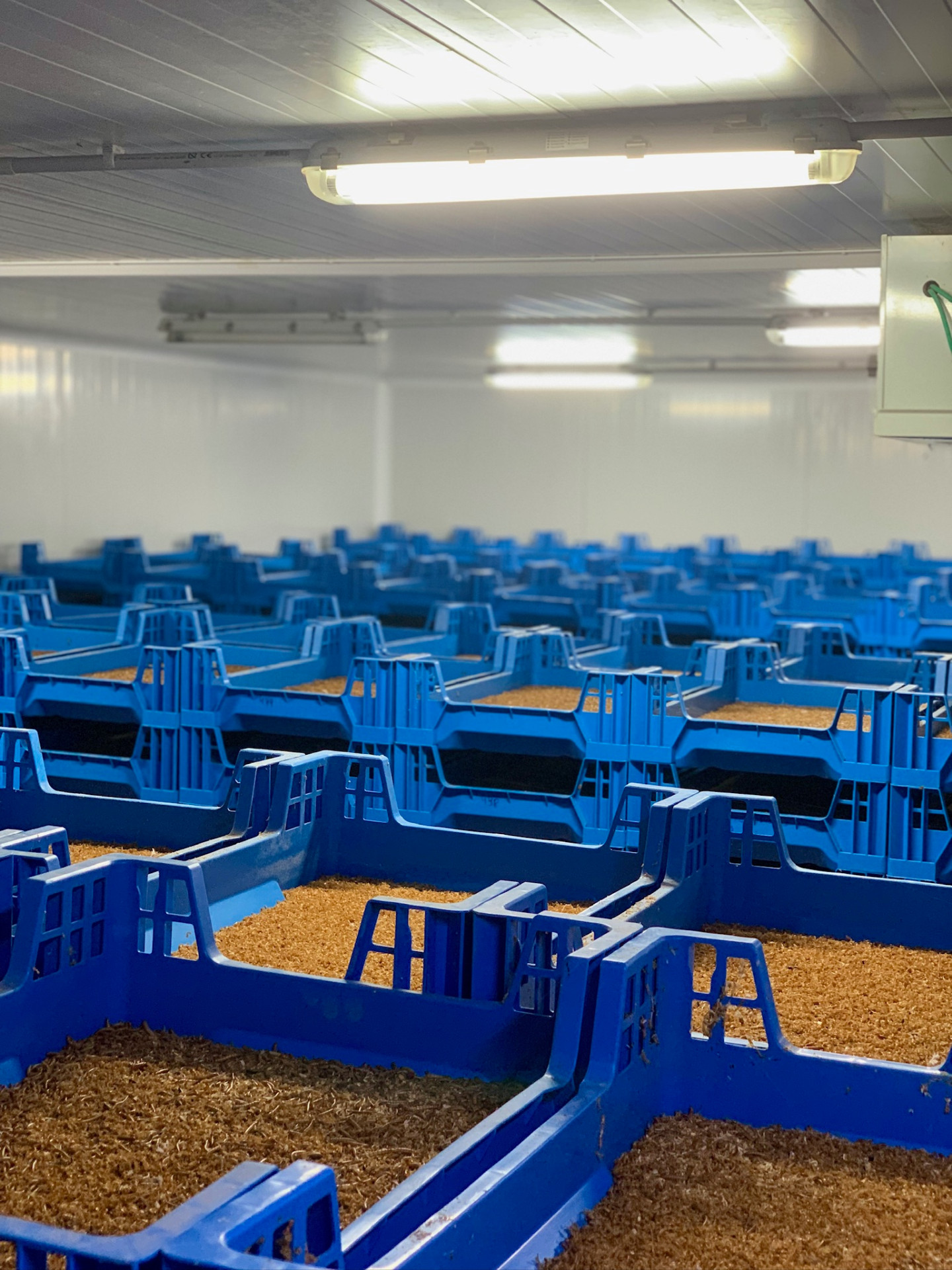 Instalaciones de M2R Agrofarm — granja propia en Huelva